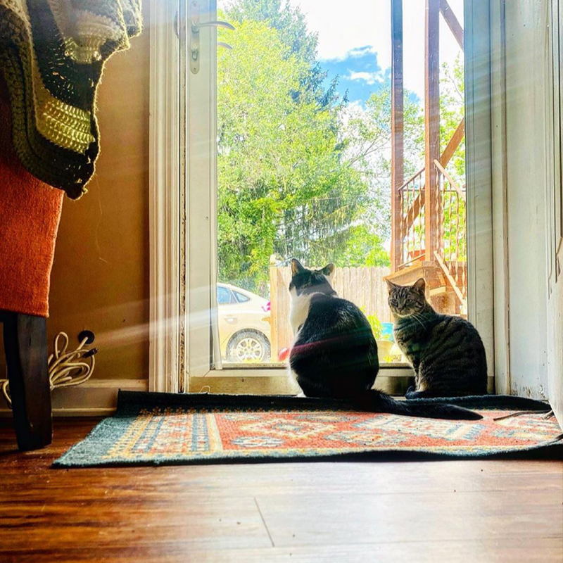 Thomas and Coco sitting in the sunlight before door