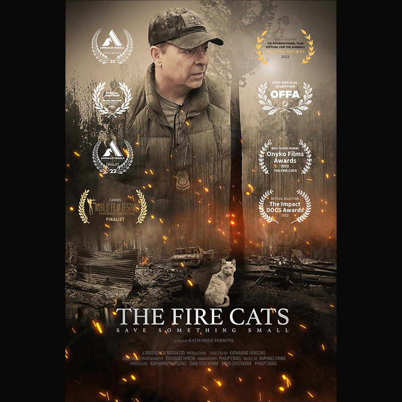 The Fire Cats poster with accolades