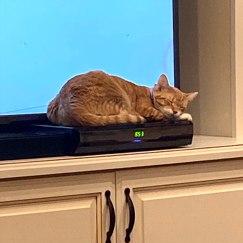 Ginny on the tv box
