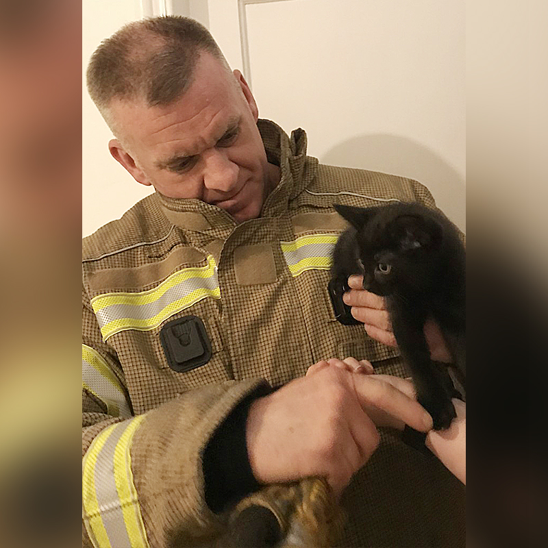 Tubs the kitten, Firefighter rescuer