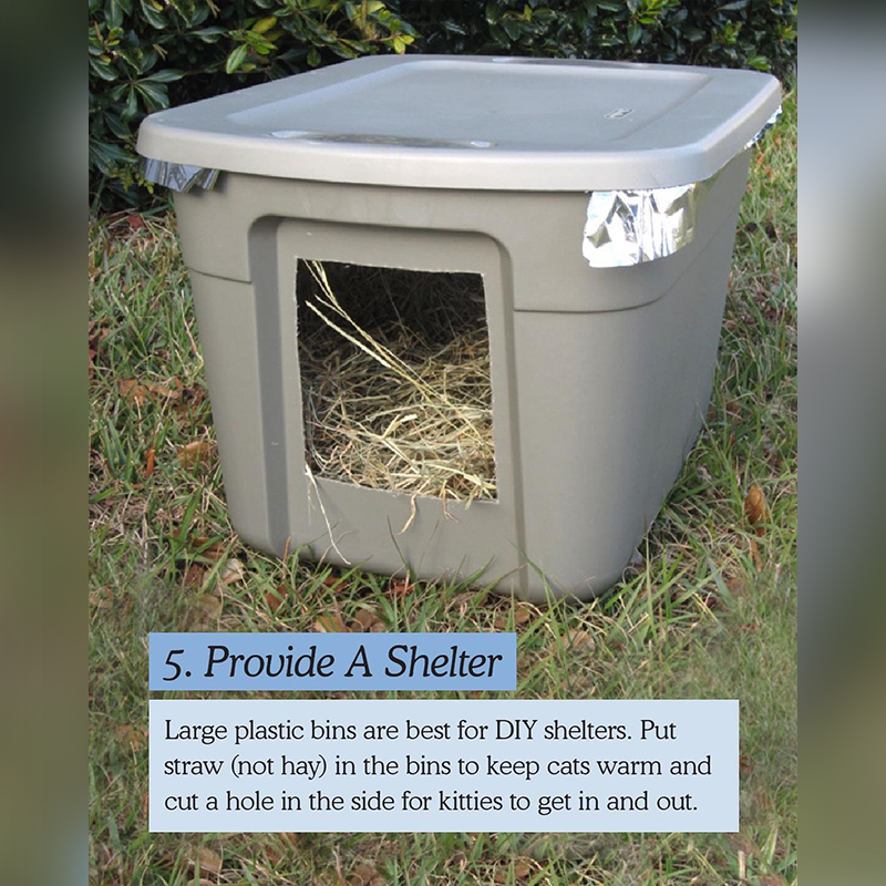 How to make a cat shelter, DIY