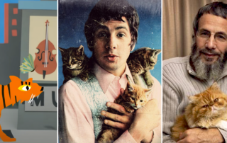 Cat Stevens, cats, felines, Yusuf, Butterfly, tiger