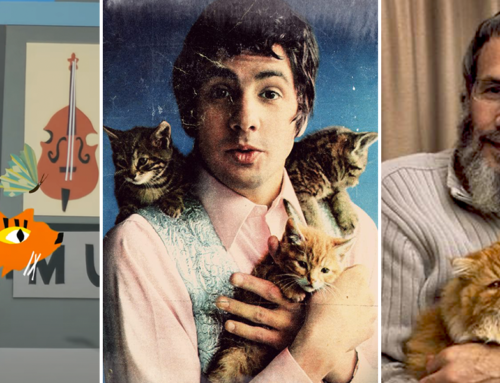 Cat Stevens’ Love for Felines and How He Got His Purrfect Name