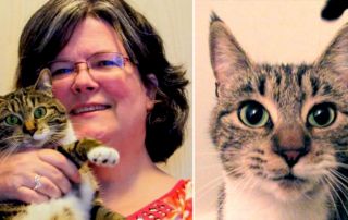Frankie is thriving with FIV, Sharon, cat, FIV positive cats