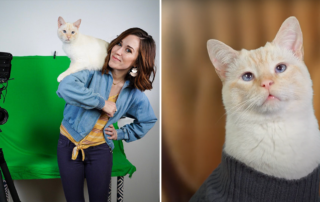 cat soap opera, Winds of Change, Henry the cat, Alyssa Keeling, Louisville, Kentucky