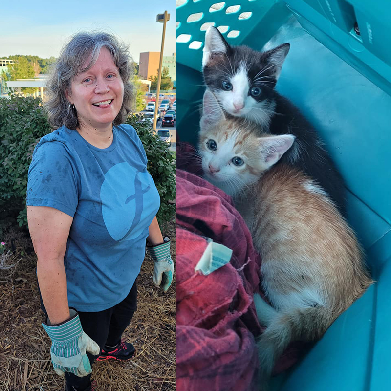 Kitten who was rescued from San Diego-Coronado Bridge has new home