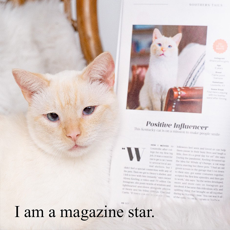 Magazine Star Henry the cat, Southern Living Magazine