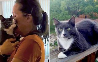 Keesha Davis, Baloo the tuxedo cat, Oregon, reunion with missing cat after 3 years, Community Cat Rescue
