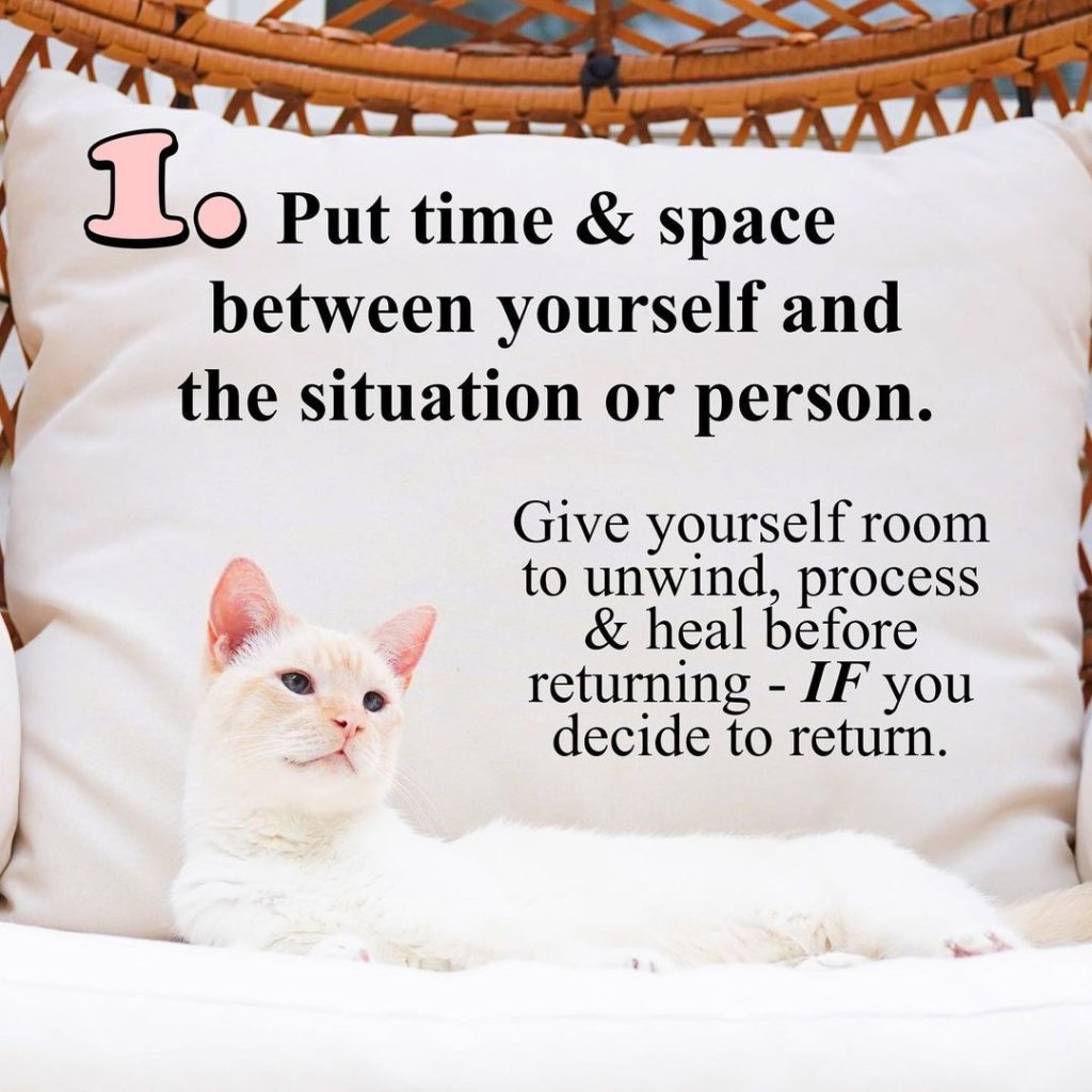 Advice from cat