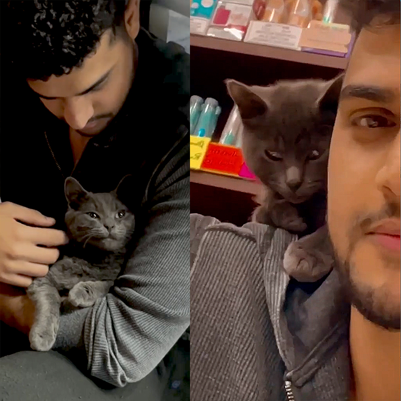 Majid Al Bahri with the kitten