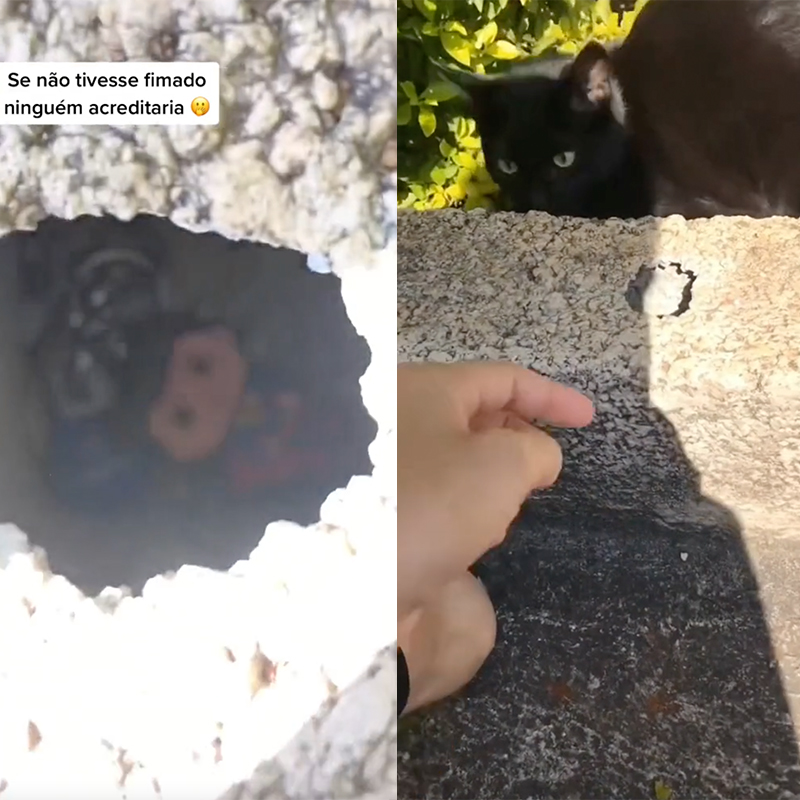 The hole in the sidewalk edging with the key inside, black cat retrieves key
