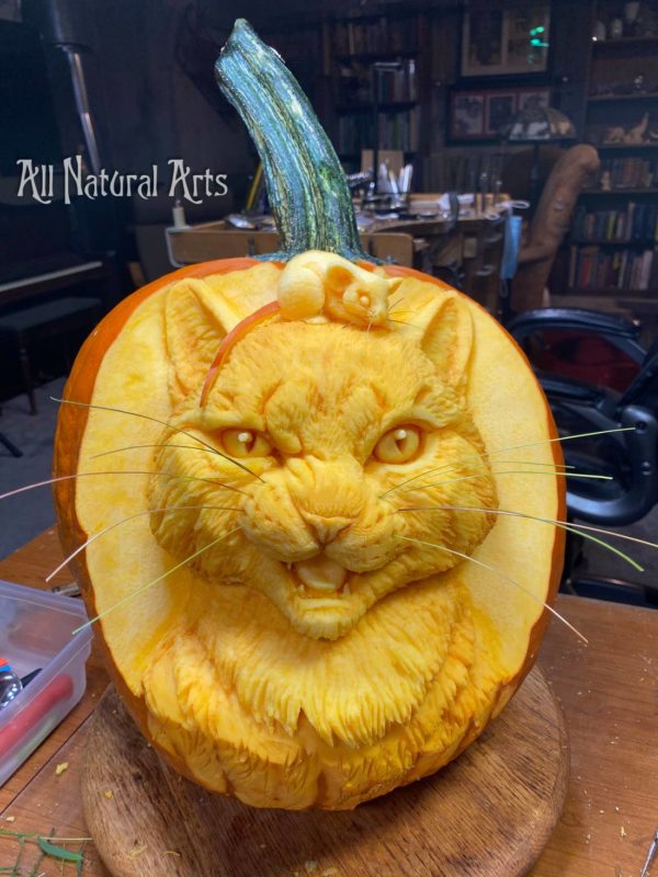 A cat carved from a pumpkin.