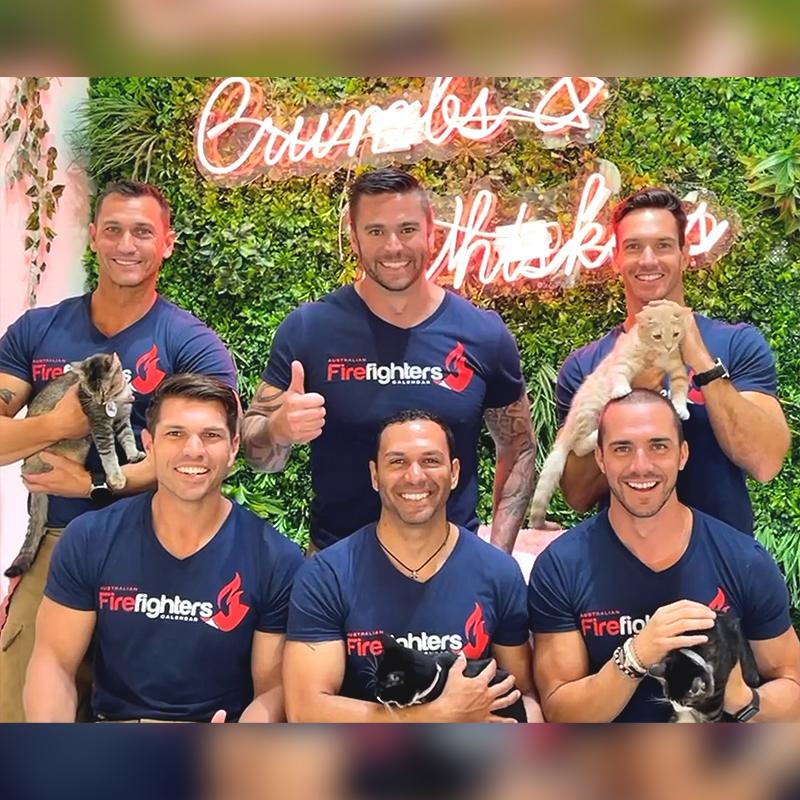 Australian Firefighters with cats at Crumbs & Whiskers Cat Cafe in Los Angeles