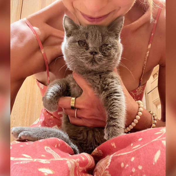 Rescued Kitten Cocomelon and Jessica Rabbit Become Besties