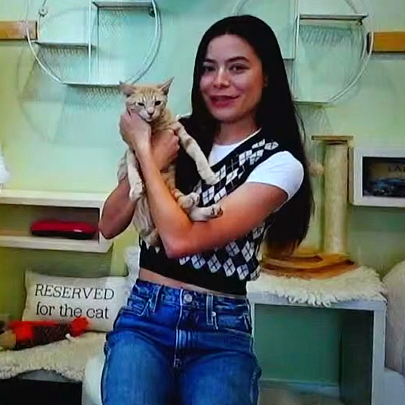 Miranda Cosgrove with rescued cat
