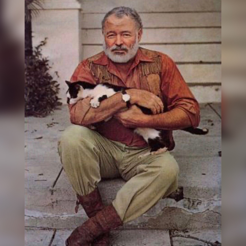 Ernest Hemingway holds a cat