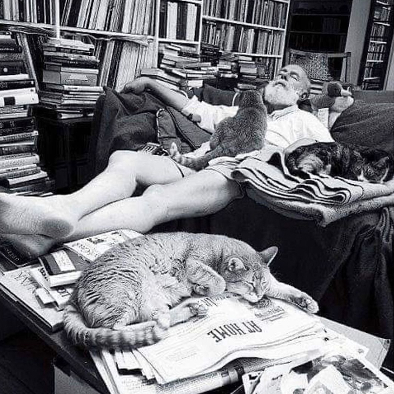 Hemingway with cats