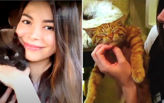 Miranda Cosgrove, Kitten Rescue LA, Angel Award 2022