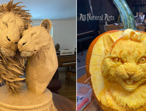 Artists Create Spectacular Cat Sculptures Using Cardboard and Natural Materials