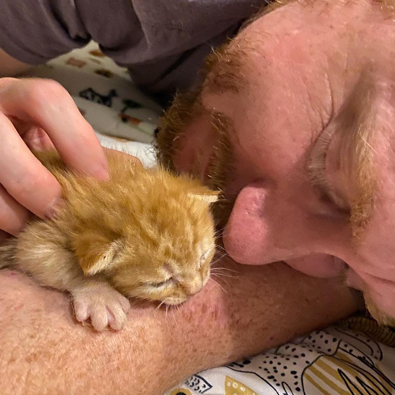 Conor Malone, Foster Dad to tiny ginger kitten Tac