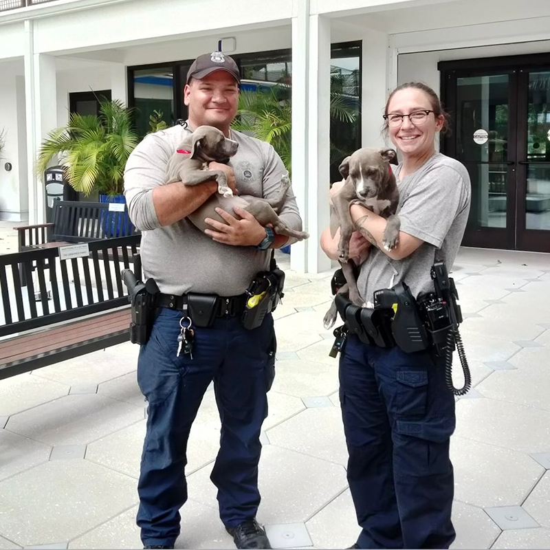 Police check on puppies during Hurricane Ian