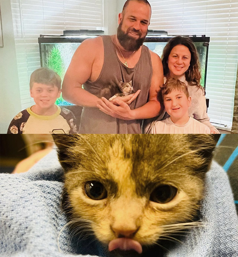 Tampa family adopts kitten saved during height of the hurricane