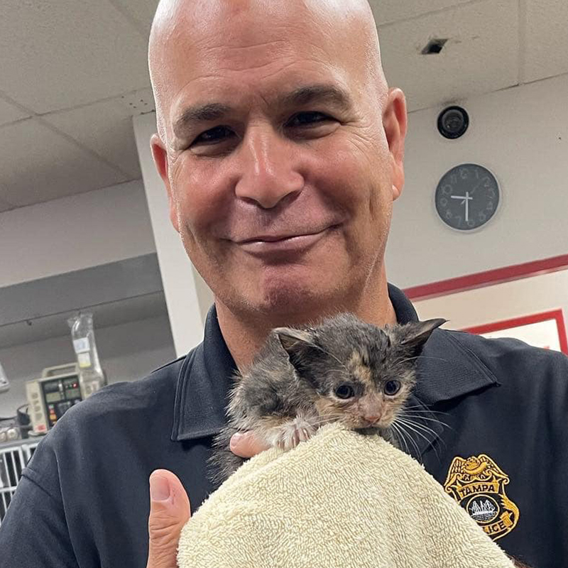 Officer holds kitten saved at height of Hurricane Ian