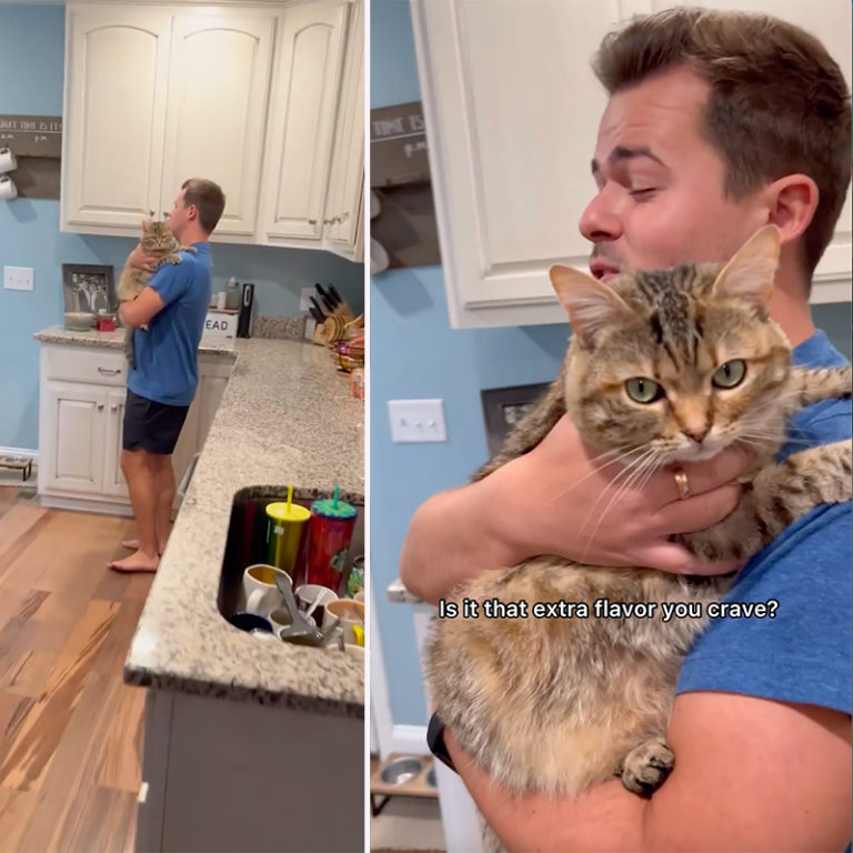 Georgia Singer Gets Caught Singing to Frankie the Cat Again