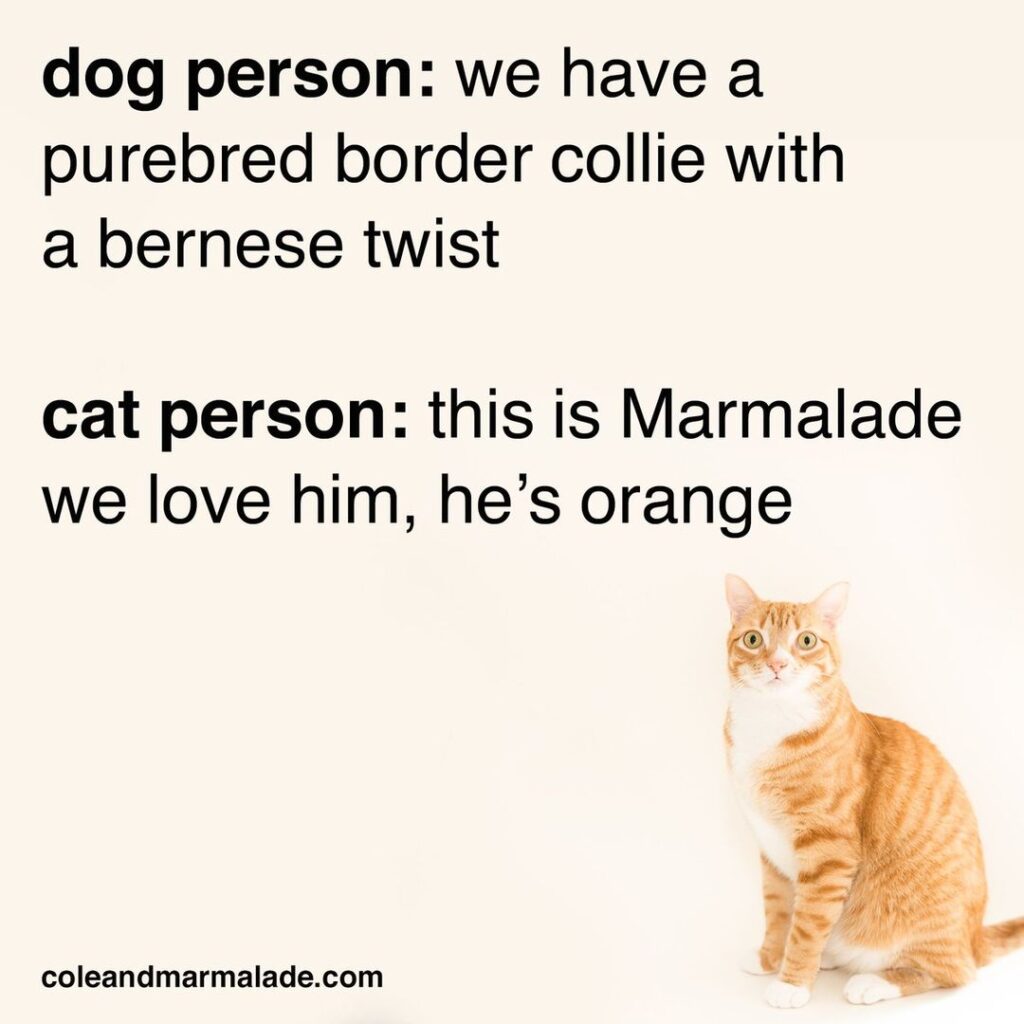 Meme via Cole and Marmalade/Facebook