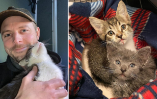 Cat Man Chris, Cole and Marmalade, Happy Tailz Rescue Inc., Zach Brija, kitten siblings