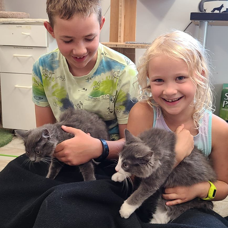 Cayenne & Coriander with their new humans