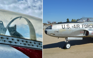Hickory Aviation Museum, cockpit kittens, T-33 Shooting Star, airplane, feral cat, Phantom, North Carolina