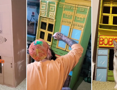 Baltimore Artists Turn Ordinary Cardboard Box into Bob’s Burgers Cat House