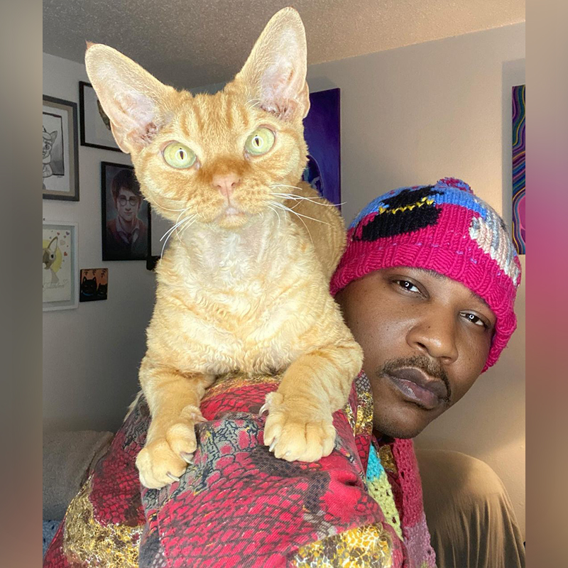 Orange cat with Cat Rapper 