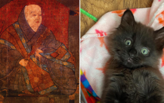 Ancient Diary from Emperor Udo in Japan Shows How All Cat Lovers Sound, Maz the black cat, Cole and Marmalade