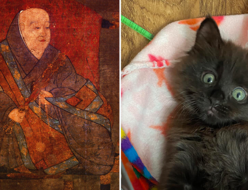 Ancient Diary from Emperor in Japan Sounds Like All Cat Lovers Today
