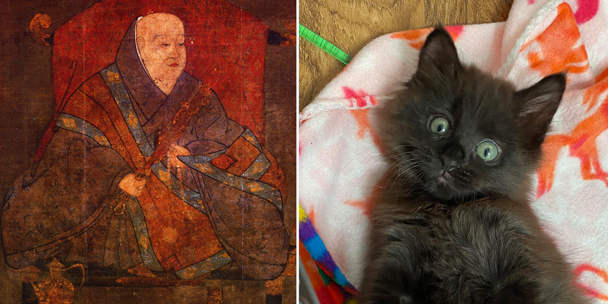 Ancient Diary from Emperor Udo in Japan Shows How All Cat Lovers Sound, Maz the black cat, Cole and Marmalade