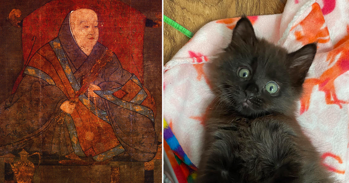 Ancient Diary by Emperor in Japan Sounds Like Cat Lovers Today