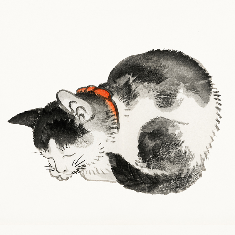 Sleeping cat by Kōno Bairei (1844-1895) via Rawpixel Ltd, Flickr. Illustration from Bairei Gakan by Kōno Bairei. (CC BY 4.0). Japan, Japanese