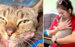 Doris with Leonard the cat has reunion at PAW Warriors Inc. Ripley cradles cat lovingly.