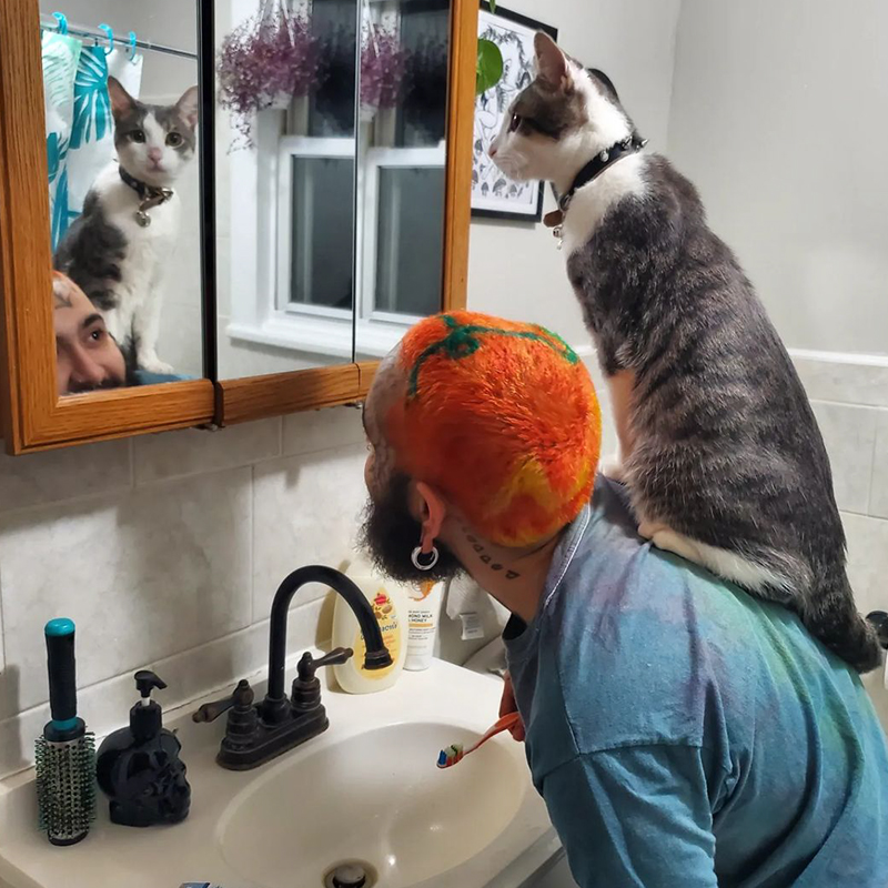 Michael Lopez with Cricket on his shoulder looking in the mirror of the bathroom