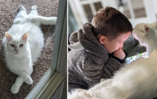 Oregon, Meow Village, foster rescue, Albino mama cat, Jazmine and junior fosterer Jaxon