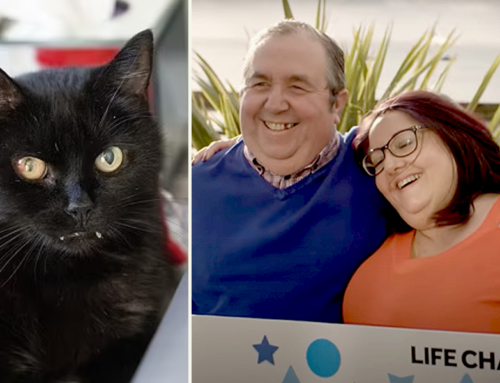 Lottery Winners Say Adopting Stray Black Cat Billy Led to String of Luck