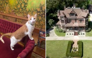 Krasnesky Manor for Wayward Cats, Thad Krasnesky, That Cat Can't Stay, rescued cats, Kansas