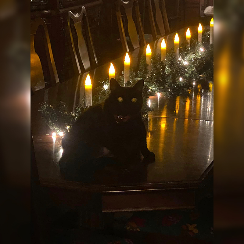 Luna the black cat sits on the candlelit dining room table under a chandelier, 2
