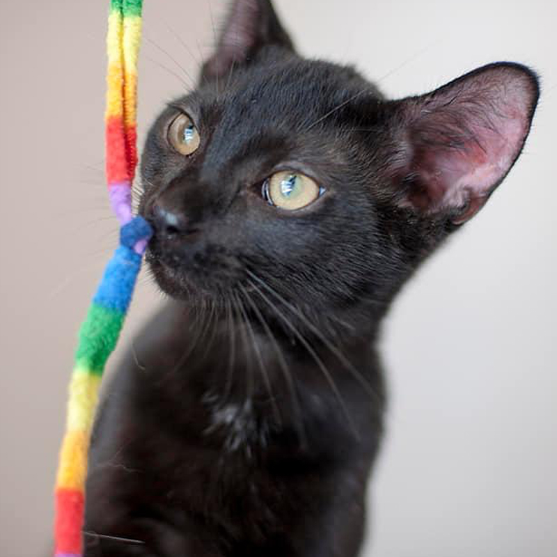 Will looking at a colorful string