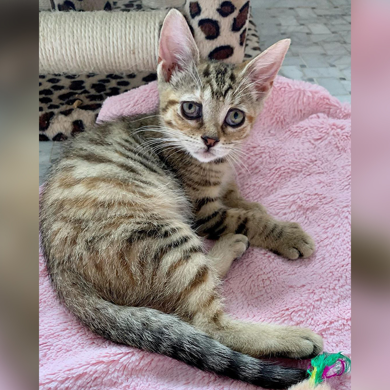 Sydney is stunning 💗