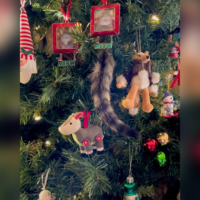 Sam and Sydney in the Christmas tree with tail hanging out