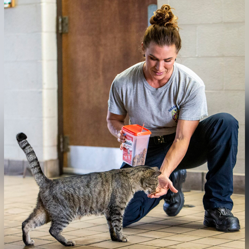 Firefighter Hannah Johnson feeds Scrappy cat treats at Station 19 in Greensboro on Friday.WOODY MARSHALL, NEWS & RECORD