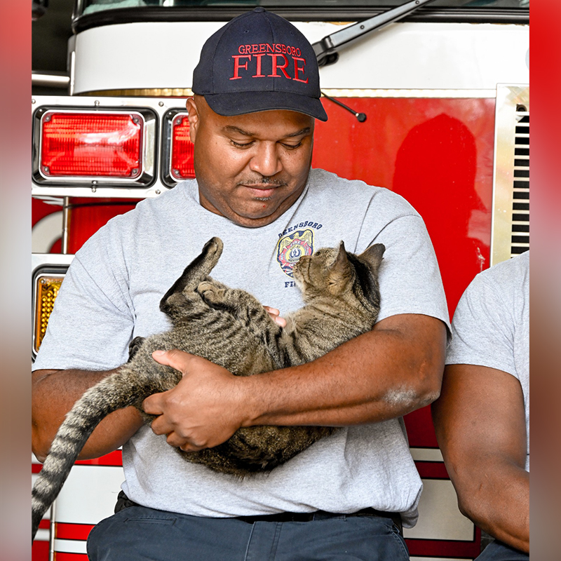 Fireman with cat